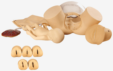 高級(jí)分娩綜合技能訓(xùn)練模型（BIX-F50）