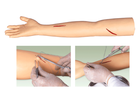 高級外科手臂縫合訓練模型（BIX-LF1）
