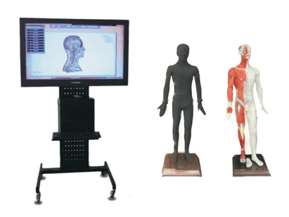 42寸多媒體人體針灸穴位交互數字平臺（WST-42M）